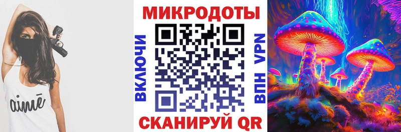 закладка  Цимлянск  Псилоцибиновые грибы Psilocybe 